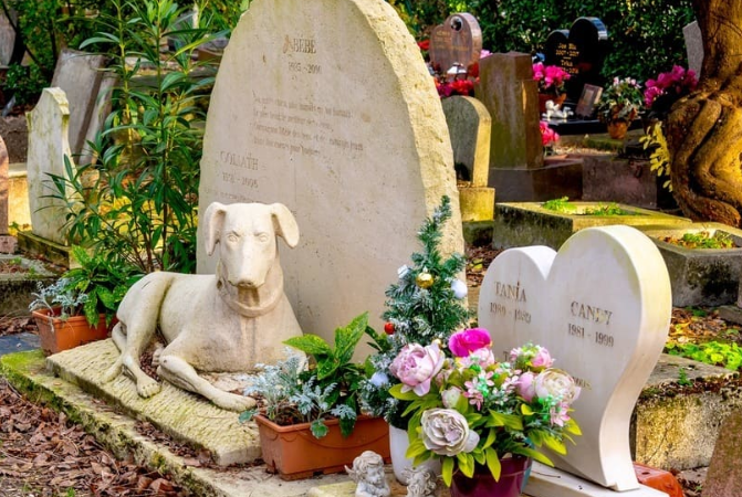 Curitiba pode autorizar sepultamento de animais de estimação em cemitérios públicos