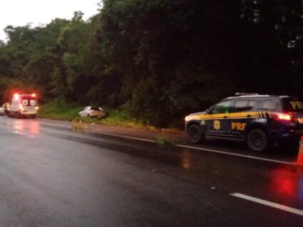 Homem morre na BR-376 após bater caminhonete e ser atropelado