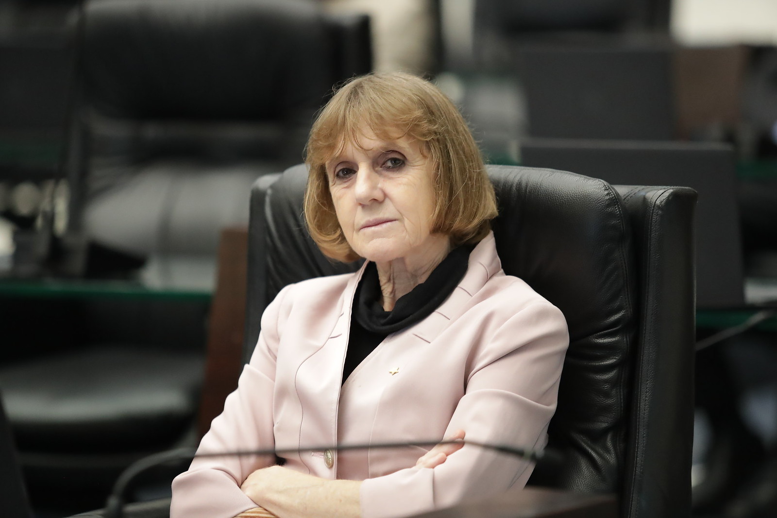 deputada Luciana Rafagnin
