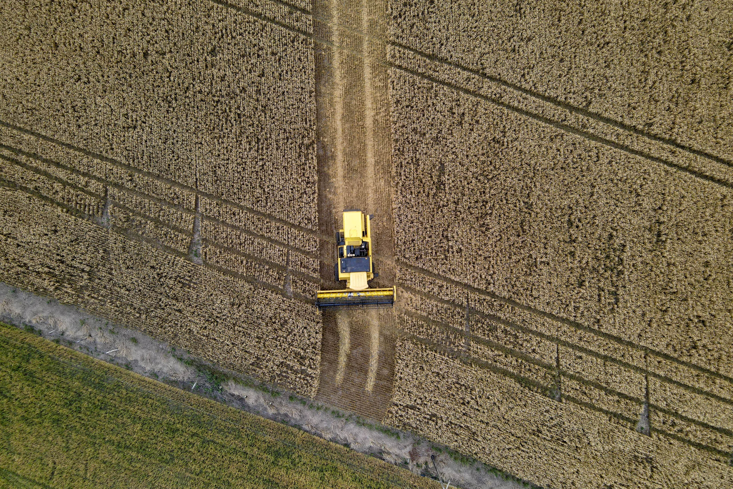 parana-producao-agricola
