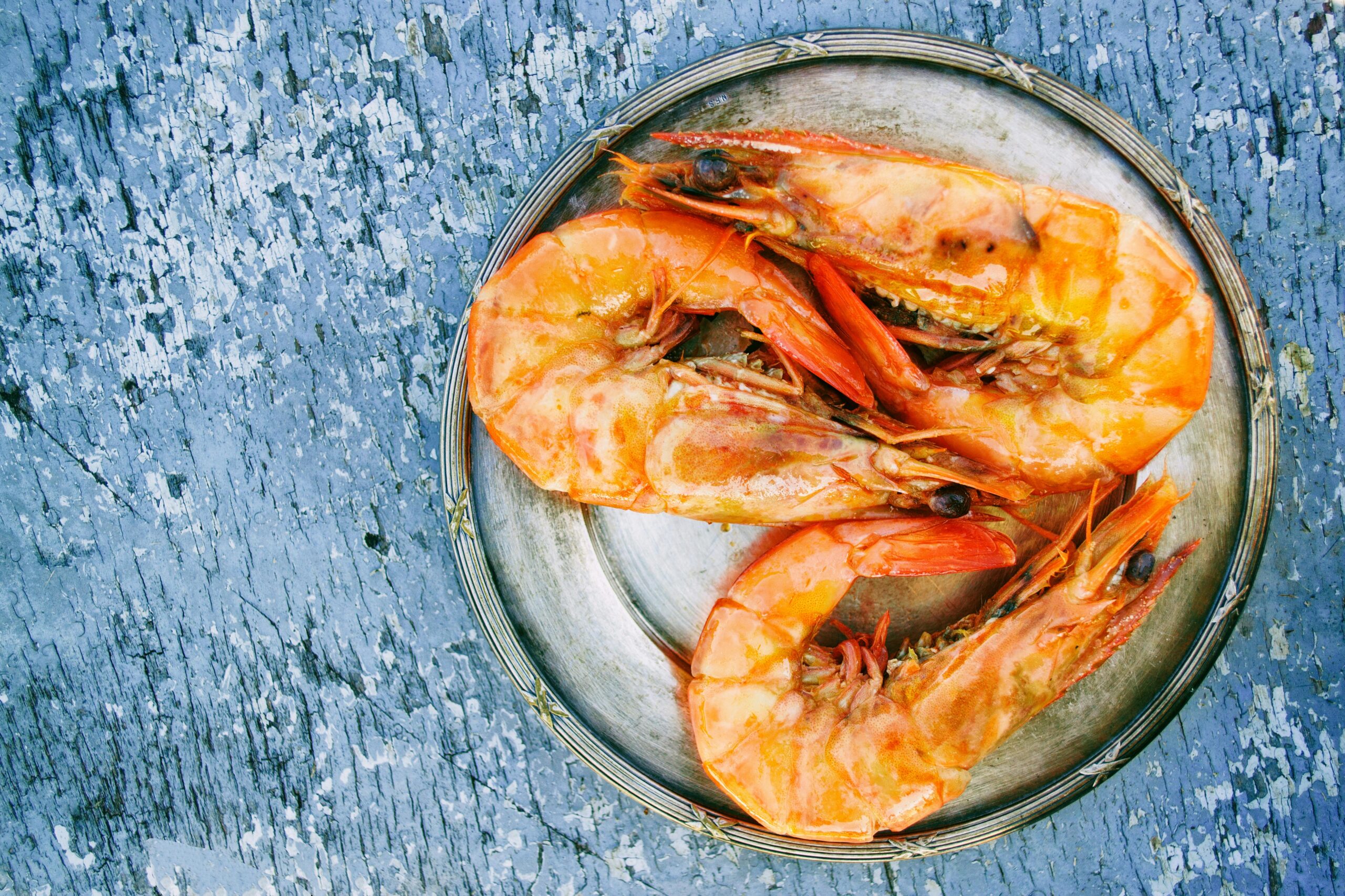 pexels-dana-tentis-118658-725992-pesca-camarão-proibida-paraná