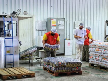 Renda domiciliar do Paraná é 20% maior do que a média nacional