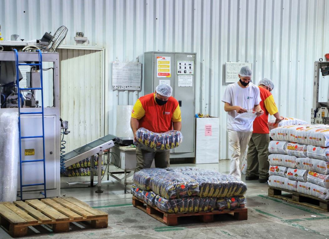 Renda domiciliar do Paraná é 20% maior do que a média nacional