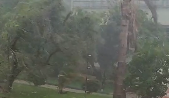Temporal provoca chuva de granizo e ventos de até 79,6 km/h em Curitiba