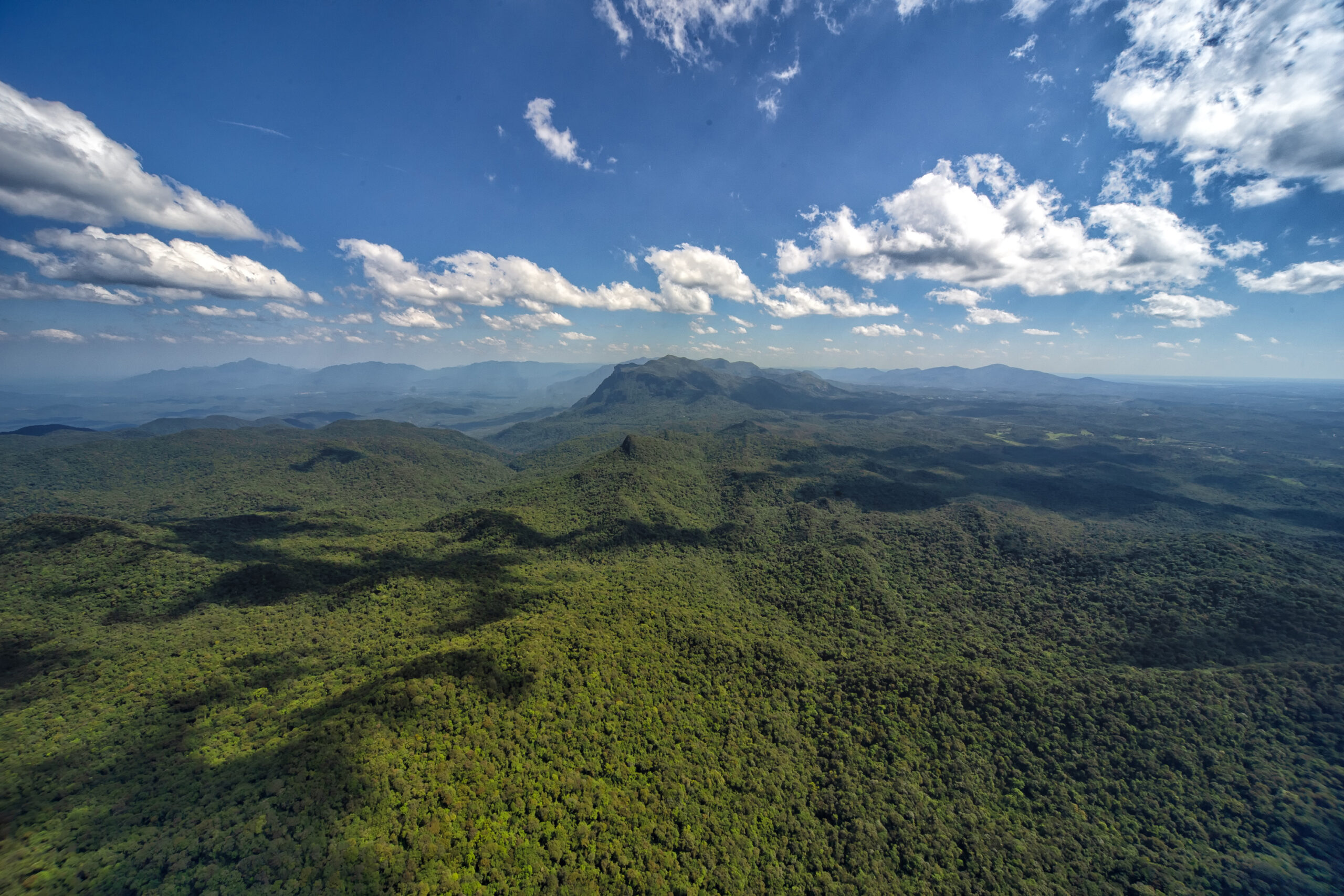 desmatamento Mata Atlântica Paraná