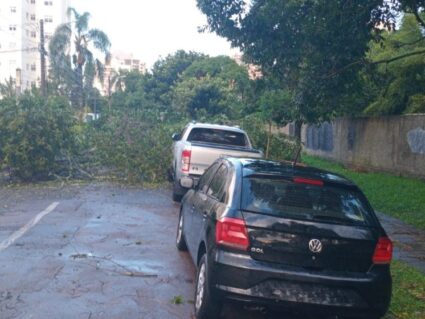 Temporal deixa estragos em bairros de Curitiba
