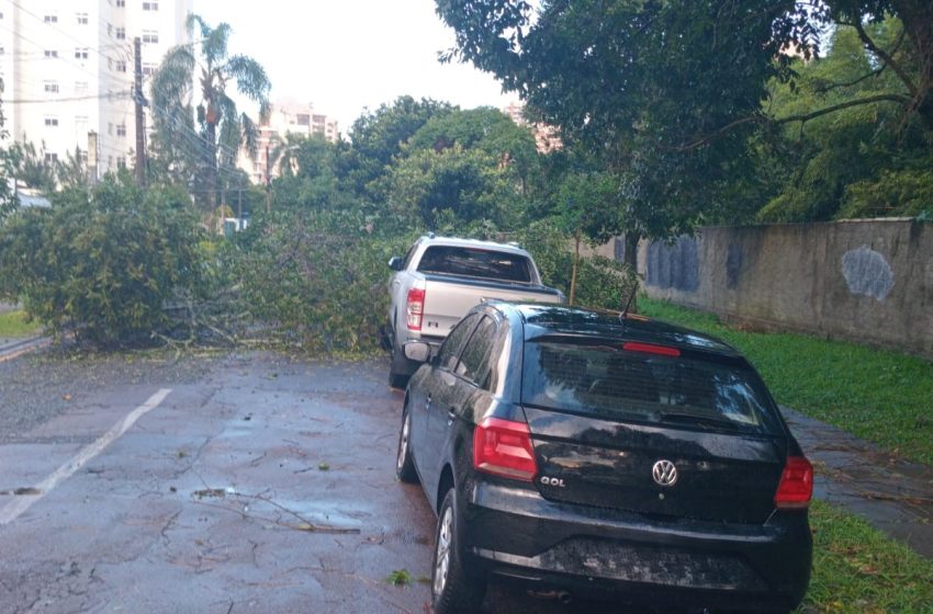 Temporal deixa estragos em bairros de Curitiba