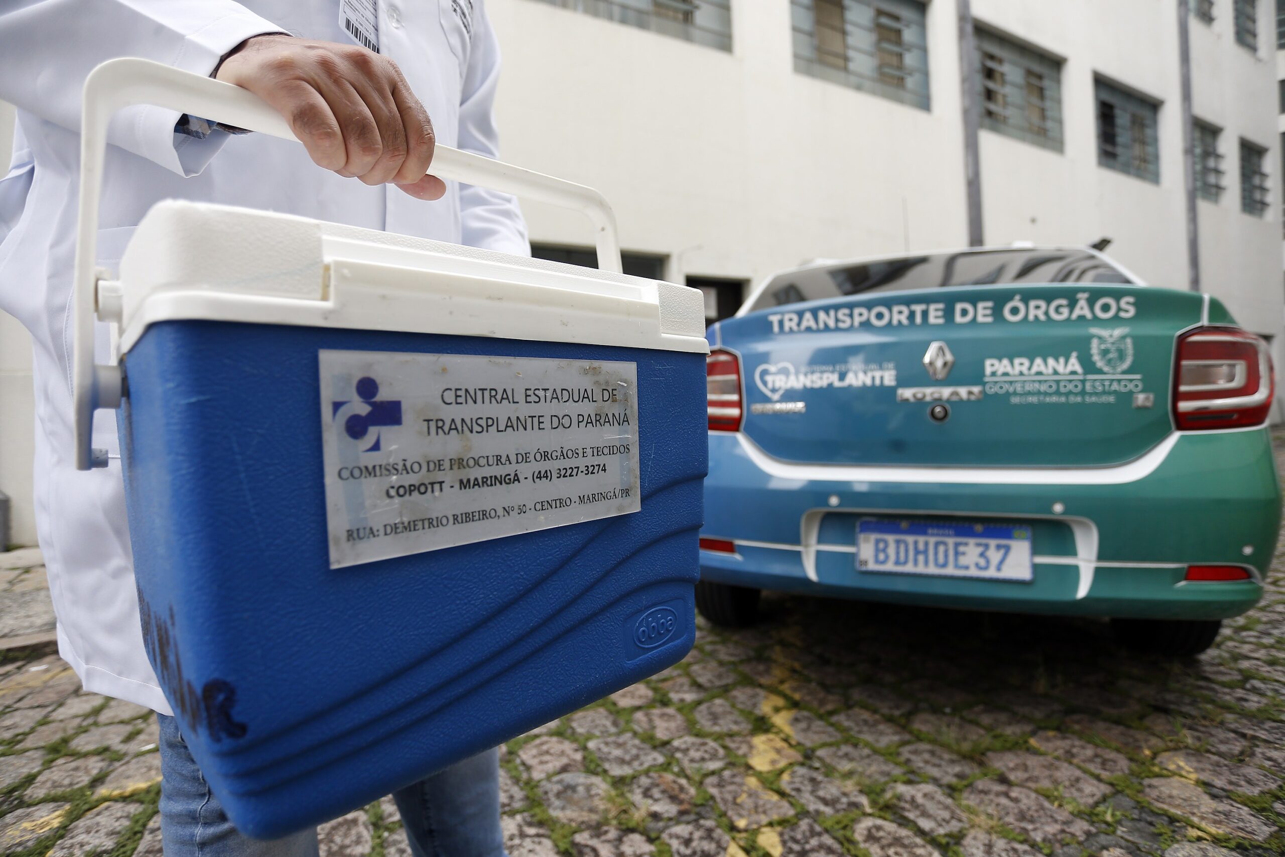 transplantes no Paraná