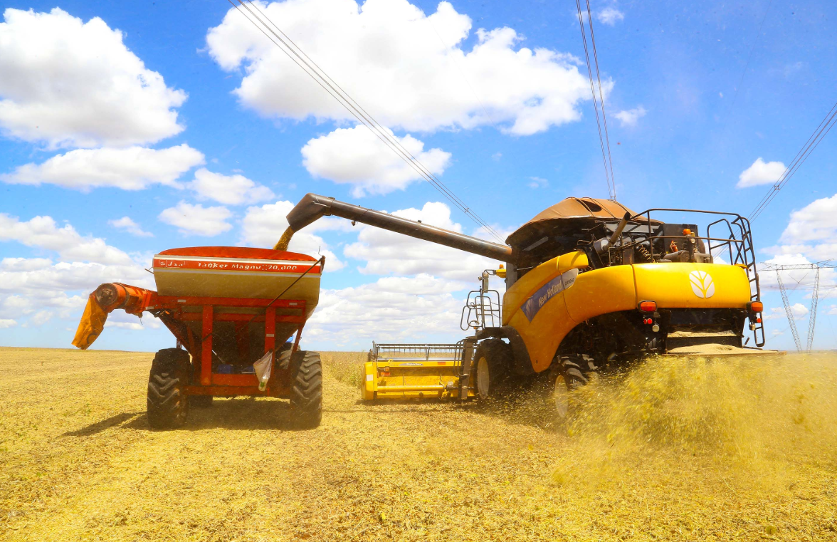 Boletim do agronegócio mais de 90% da safra de soja do Paraná já foi colhida
