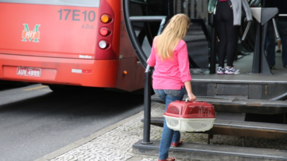 Transporte de cães e gatos nos ônibus de Curitiba é aprovado na Câmara