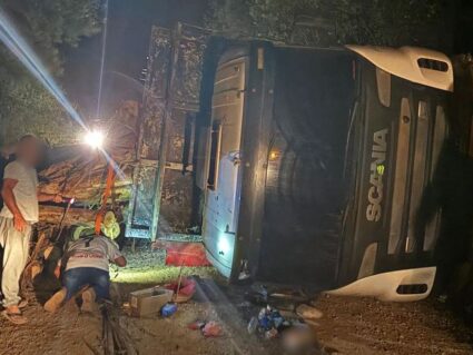 Caminhão carregado com toras de madeira tomba sobre carro em Itaperuçu