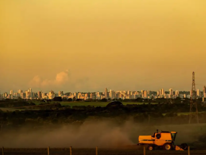 Monoculturas são altamente vulneráveis à crise climática