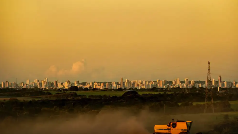 Monoculturas são altamente vulneráveis à crise climática