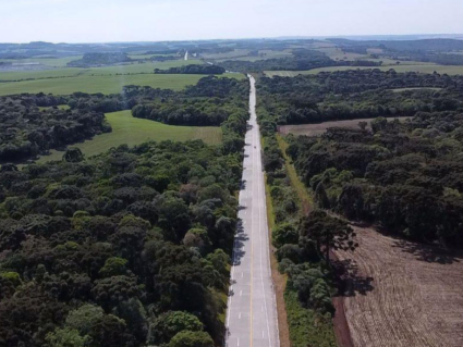 Obras de reconstrução da PRC-280 se aproximam do fim