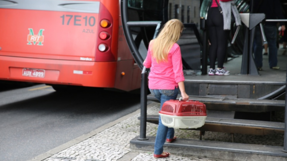 Transporte de pets nos ônibus de Curitiba finalmente será votado na Câmara