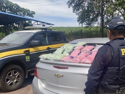 PRF apreende 90 mil comprimidos de ecstasy na BR-277