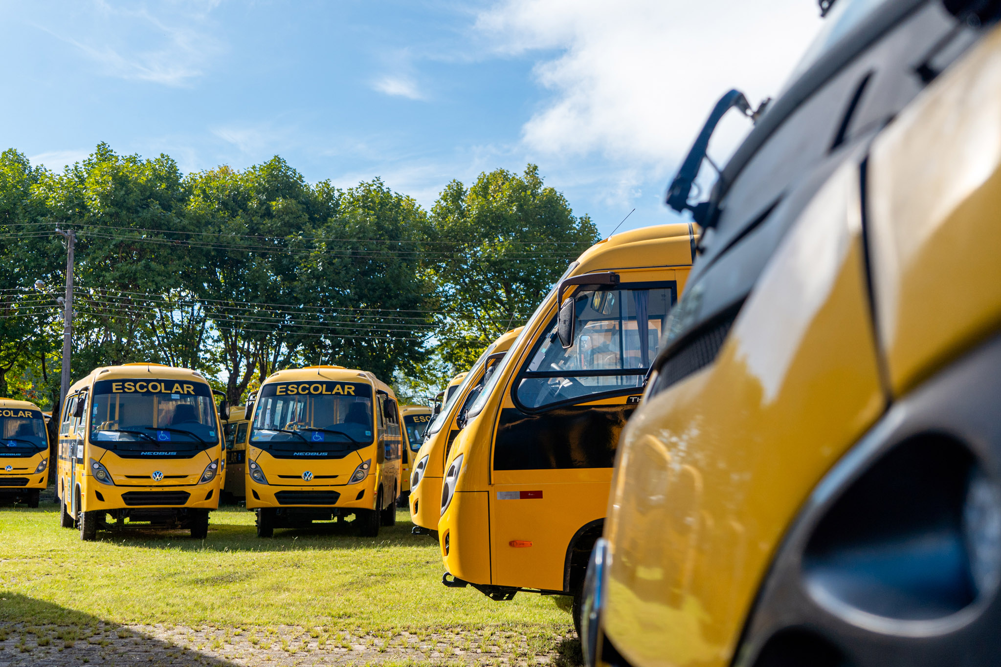 novos ônibus escolares cidades do Paraná