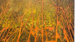 Caixa Cultural Curitiba recebe exposição Matéria ao Redor, de Ciça Tucunduva