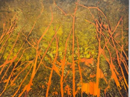 Caixa Cultural Curitiba recebe exposição Matéria ao Redor, de Ciça Tucunduva