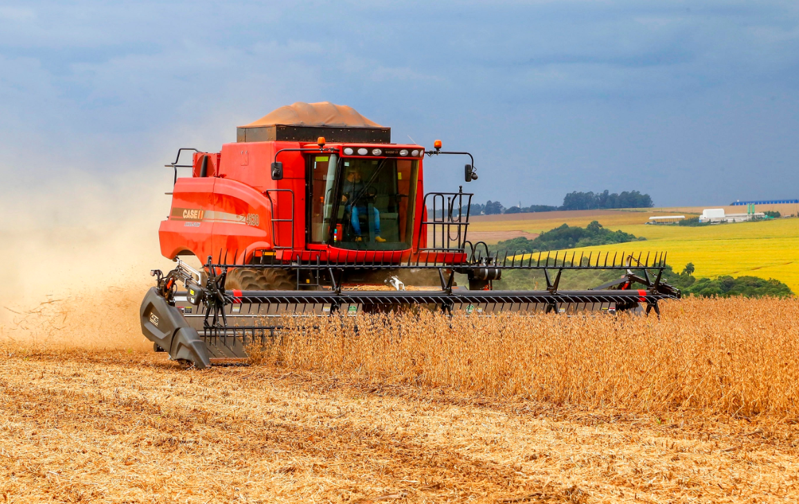 Colheitas de soja e milho ultrapassam 95% das áreas plantadas no Paraná