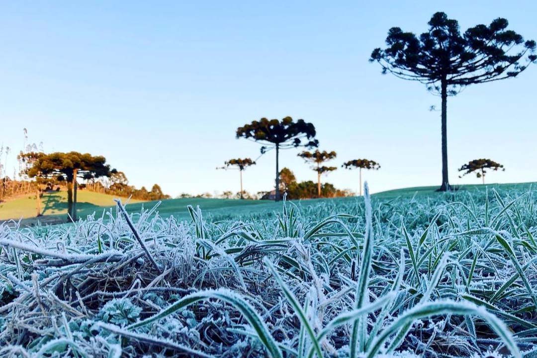 alerta geada no Paraná