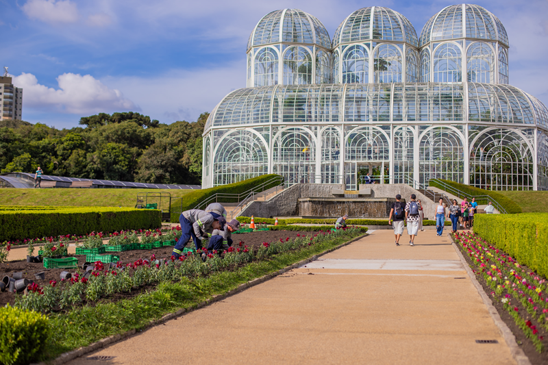 Jardim Botânico se prepara para o inverno com 100 mil novas flores