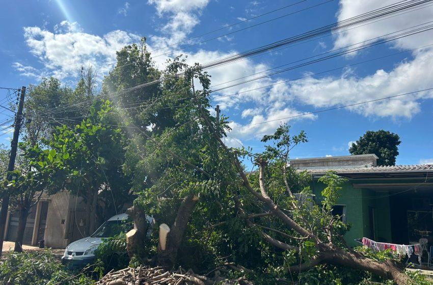Fortes chuvas deixam milhares de casas sem luz no Paraná