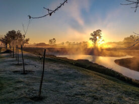 frio no Paraná geada temperaturas previsão do tempo