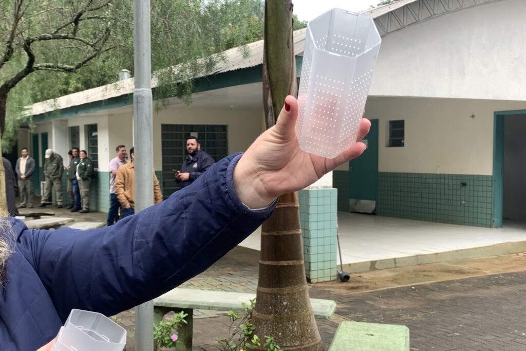 Alternativa para evitar dengue, método Wolbachia será ampliado no Paraná