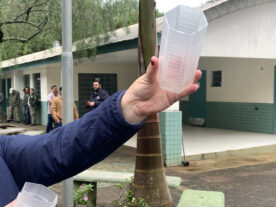 método Wolbachia Paraná dengue