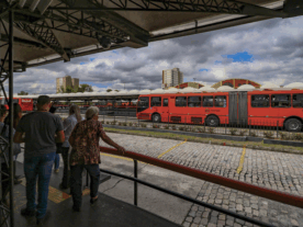 terminal de ônibus Curitiba transporte de cães e gatos pets
