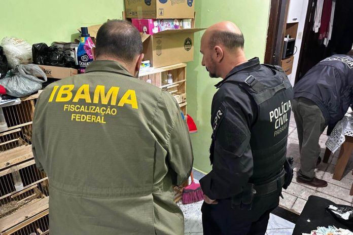 operação tráfico de animais silvestres Paraná