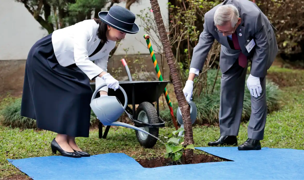 Princesa Kako, do Japão, vem ao Paraná nos próximos dias