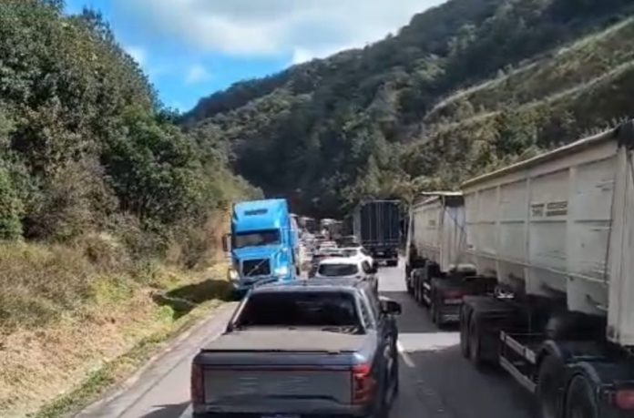 caminhoneiros bêbados BR-277