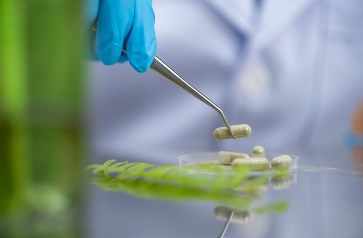 Abifisa medicamentos fitoterápicos