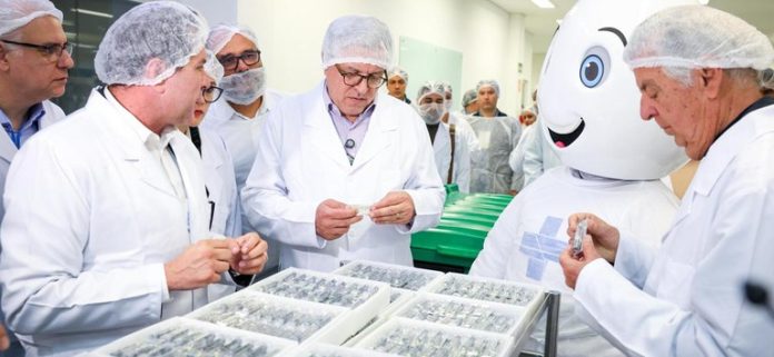 produção de insulina Brasil
