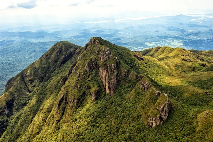 Mata Atlântica Pico Marumbi
