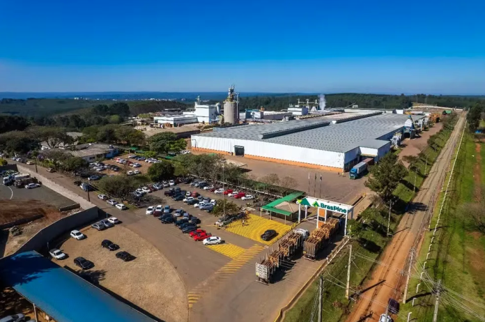 BrasPine setor madeireiro Paraná tarifaço